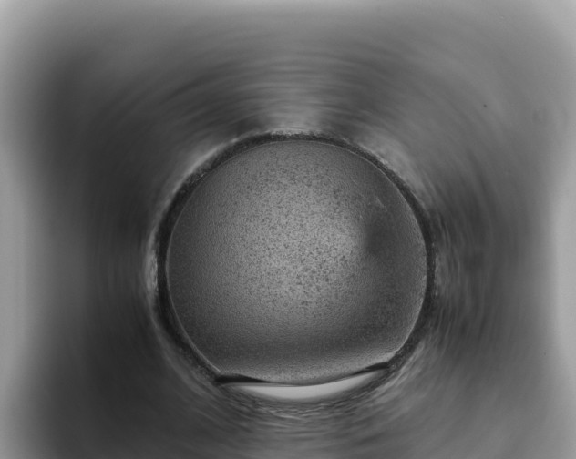 X0000093430584200710191028
