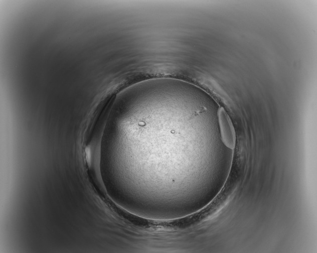 X0000093430585200710191028