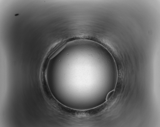 X0000093430587200710191028