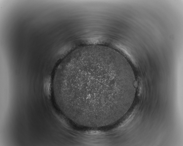 X0000093430590200710191028