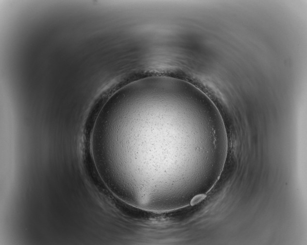 X0000093430591200710191028