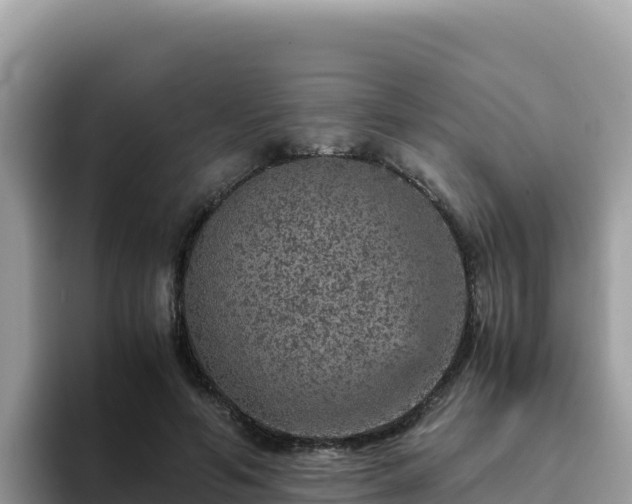 X0000093430594200710191028