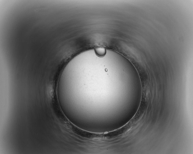 X0000093430595200710191028