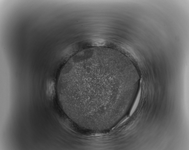 X0000093430598200710191028