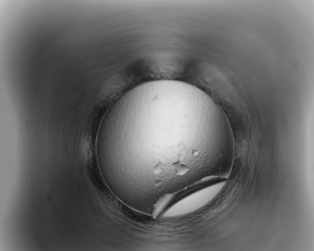 X0000093430599200710191028