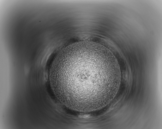 X0000093430602200710191028