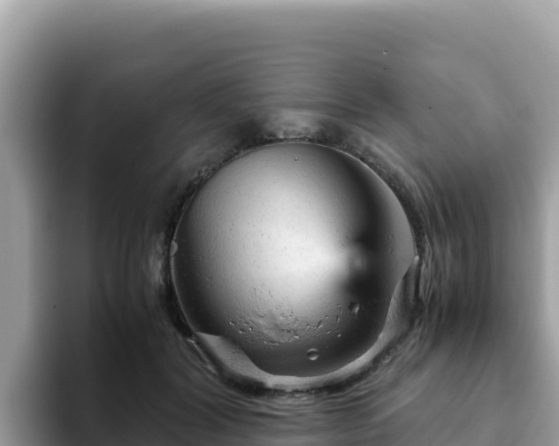 X0000093430604200710191028