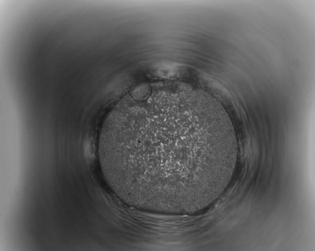 X0000093430606200710191028