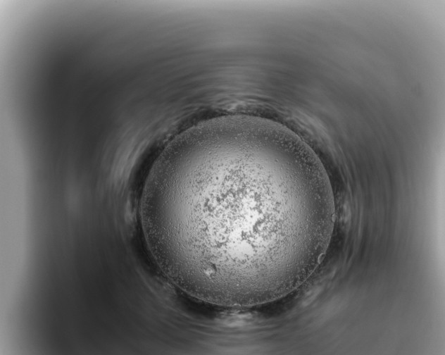 X0000093430607200710191028