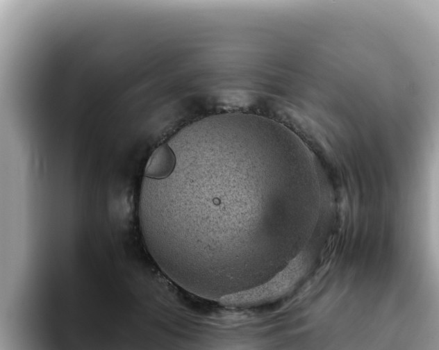 X0000093430608200710191028