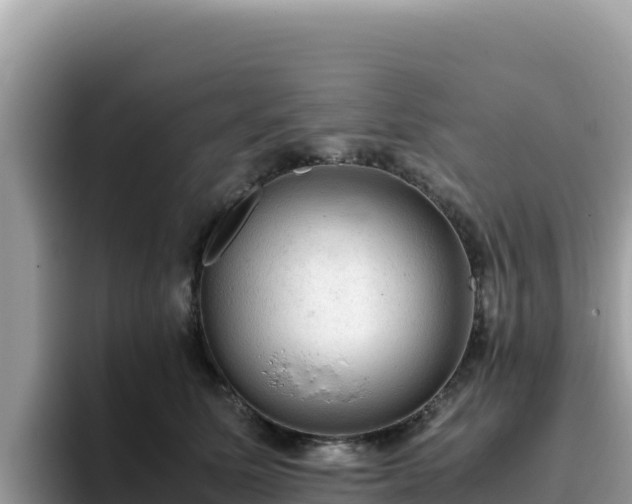X0000093430611200710191028