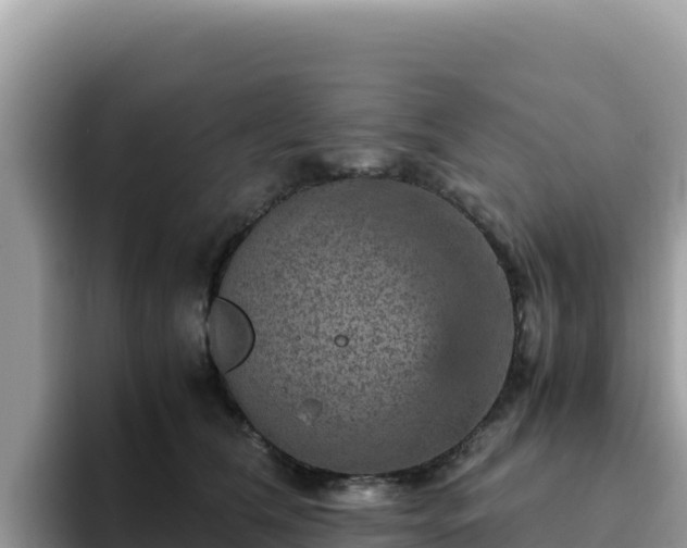 X0000093430612200710191028