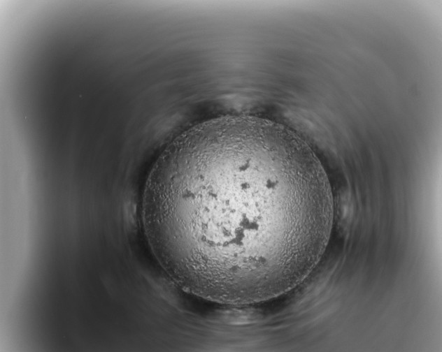 X0000093430615200710191028