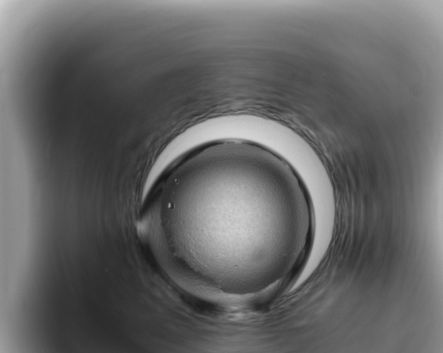 X0000093430617200710191028