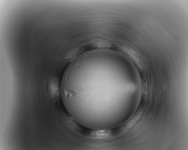 X0000093430622200710191028