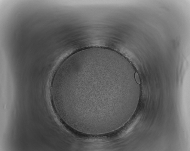 X0000093430625200710191027