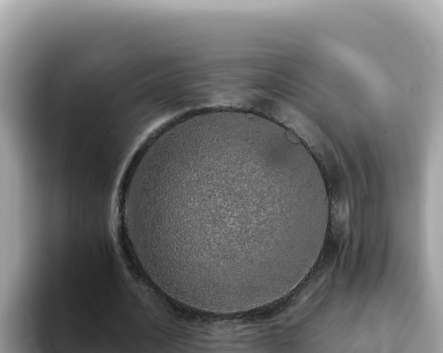 X0000093430628200710191027