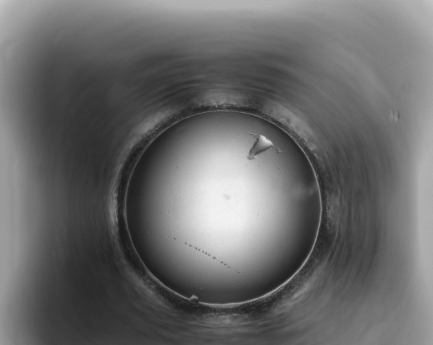 X0000093430629200710191027