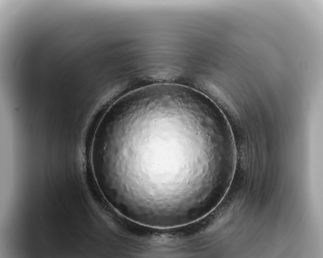 X0000093430634200710191027