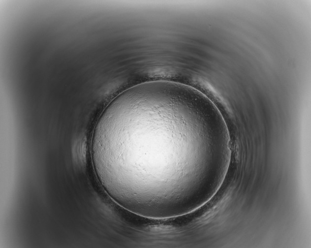 X0000093430637200710191027