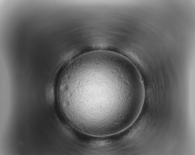 X0000093430638200710191027
