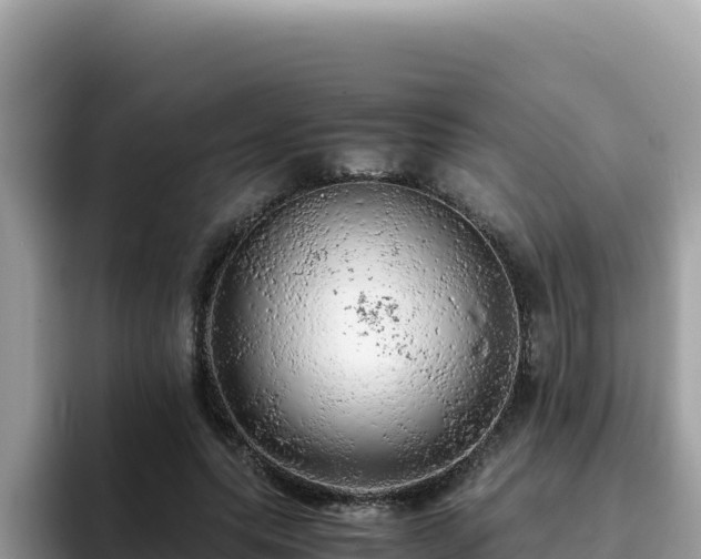 X0000093430639200710191027