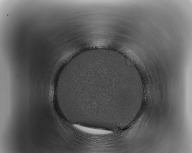 X0000093430640200710191027