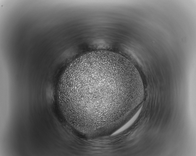 X0000093430643200710191027