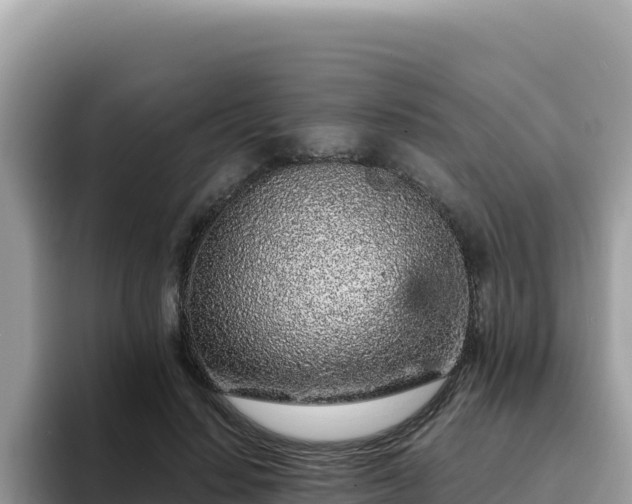 X0000093430644200710191027