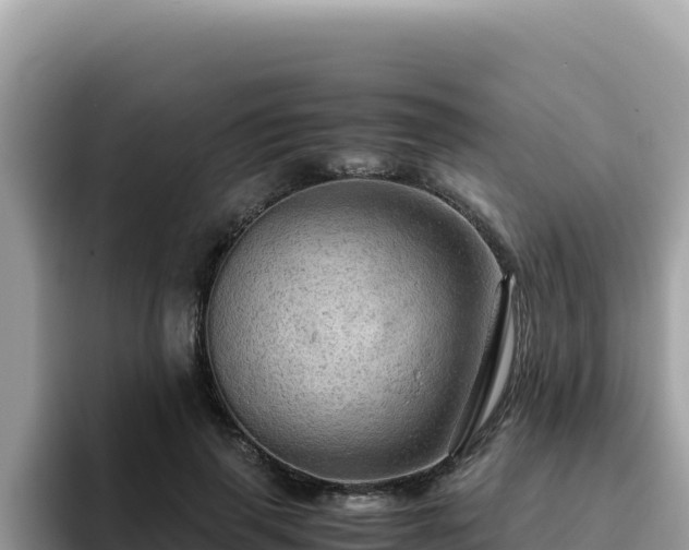 X0000093430645200710191027