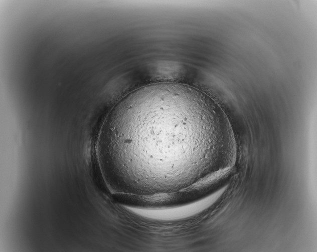 X0000093430647200710191027