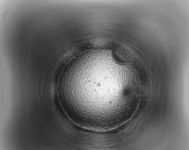 X0000093430648200710191027
