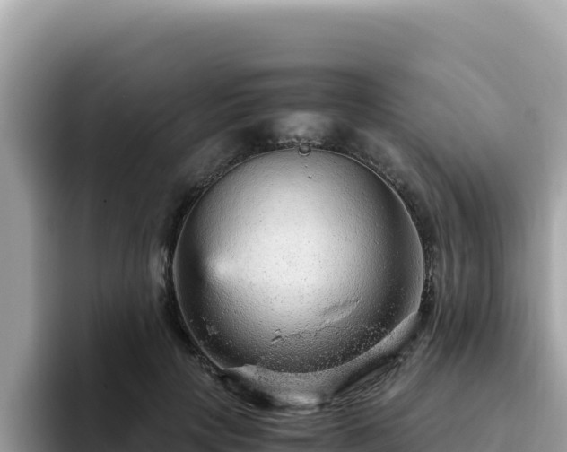 X0000093430649200710191027