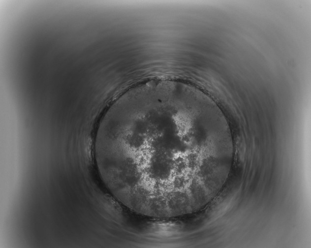 X0000093430650200710191027
