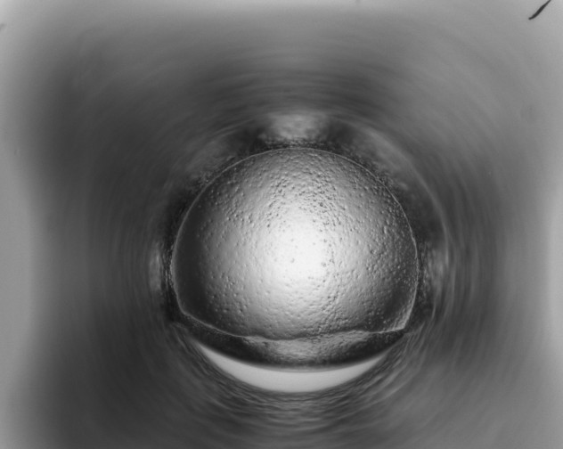 X0000093430651200710191027