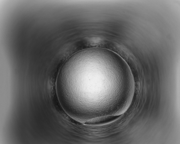 X0000093430653200710191027