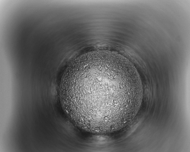 X0000093430654200710191027