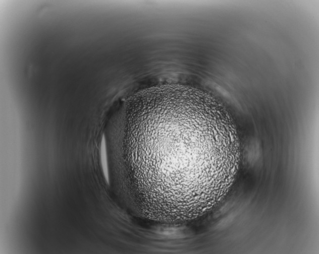X0000093430661200710191027