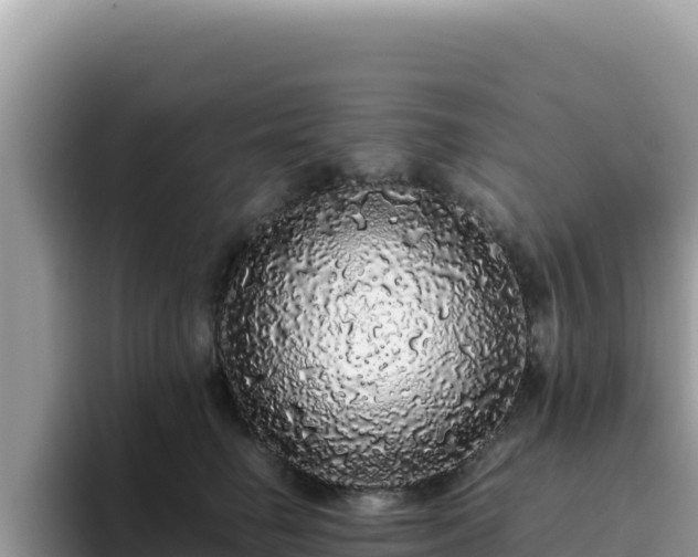 X0000093430662200710191027