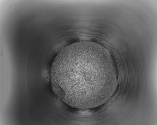 X0000093430666200710191027