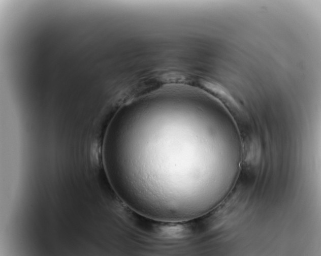 X0000093430669200710191027