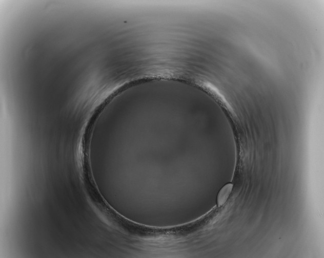 X0000093430674200710191027