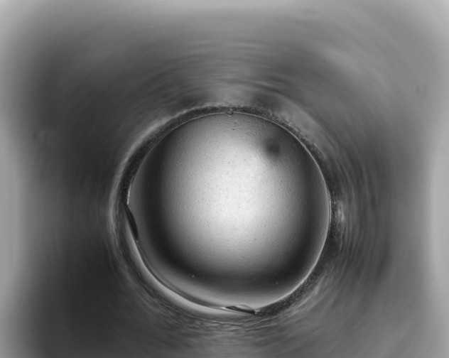 X0000093430676200710191027