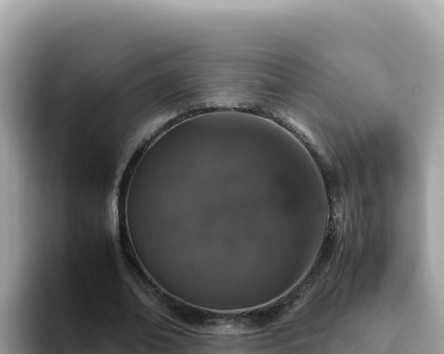 X0000093430678200710191027