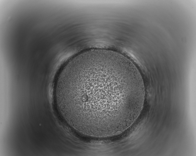 X0000093430679200710191027