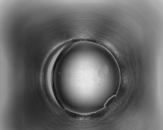 X0000093430680200710191027