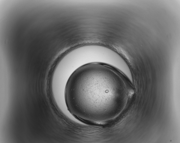 X0000093430684200710191027