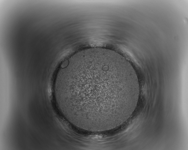 X0000093430687200710191027