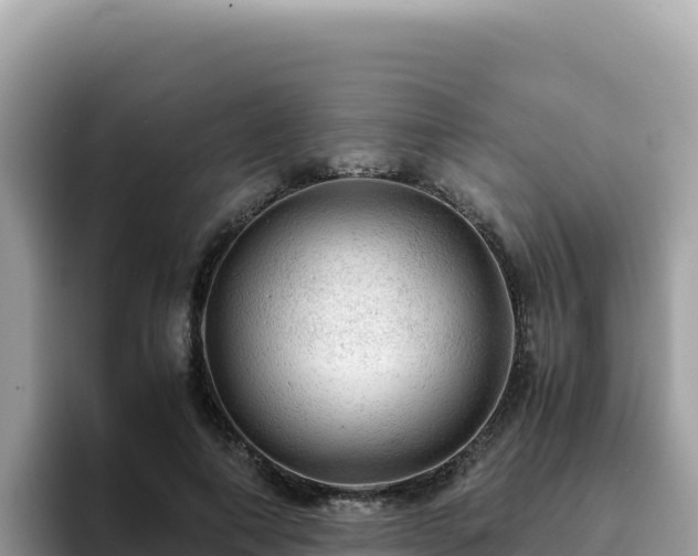 X0000093430690200710191027