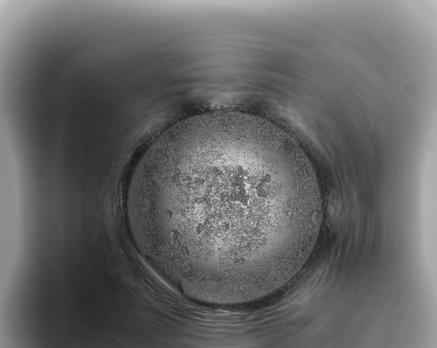 X0000093430691200710191027